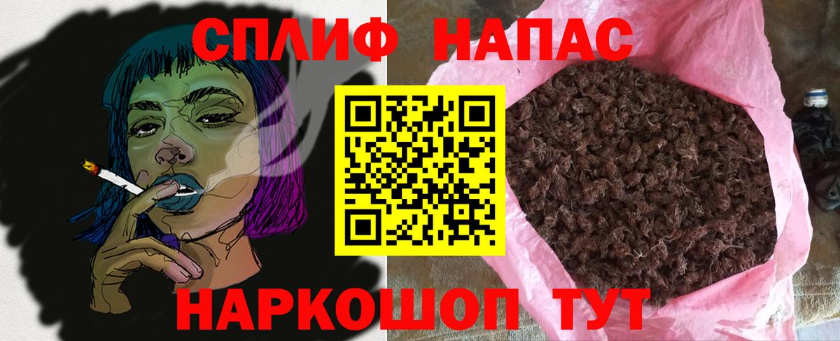 Канабис MAZAR Кизляр